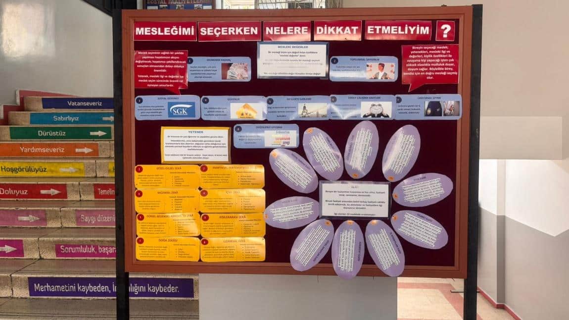 İlköğretim Sonrası Eğitim Seçenekleri Panomuz